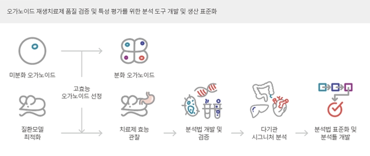 오가노이드사이언스,%20산자부%20과제%20선정…%20재생치료제%20생산%20및%20품질%20평가%20표준화%20선도